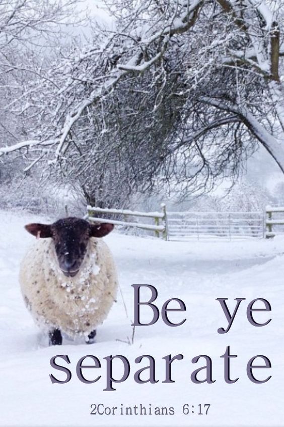 2f8372cf532309e3426f83378d772f54