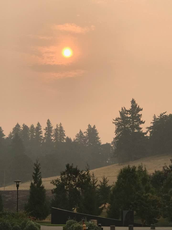 21317631_10215083294344509_5602579531055265071_n