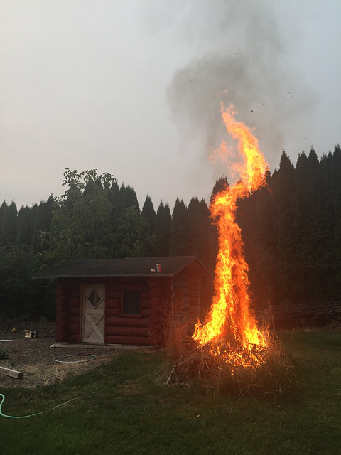 36188458464_e3603c7106_z