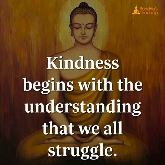 e82e3b65d3c433a19996be3688fbba15