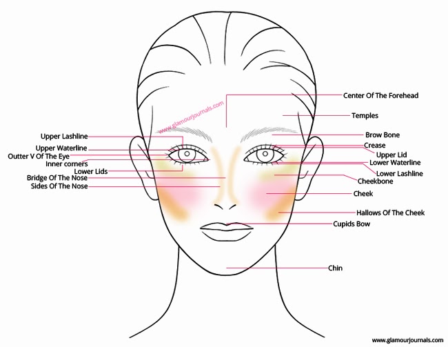 Face-anatomy-for-makeup-beginners-glamourjournals