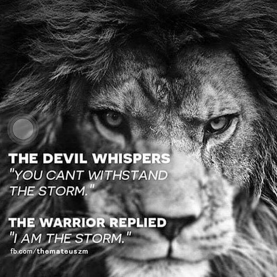 fc63f44f95436a06c958f6af8ee12305