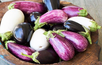 eggplants-harvest-1000