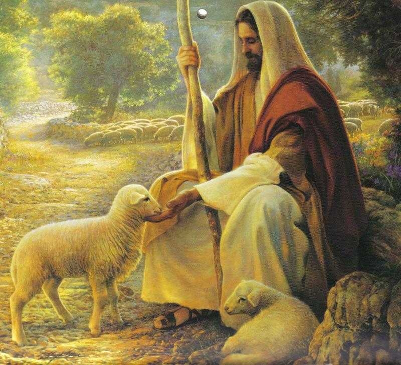 jesus pictures : my good shepherd on Images Of The Good Shepherd Jesus