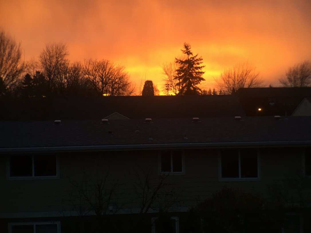 25820142327_e11be991e6_k