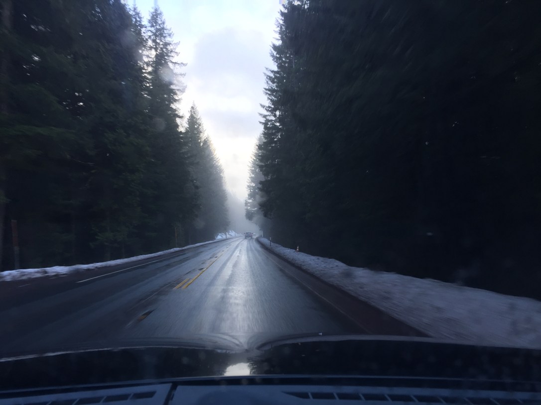 41044636181_6148ce1e93_k