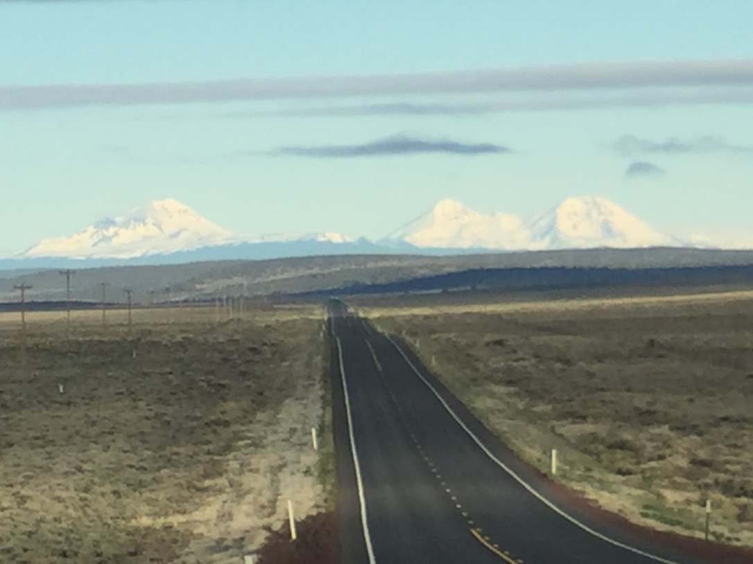 28174454038_95c131c94c_o