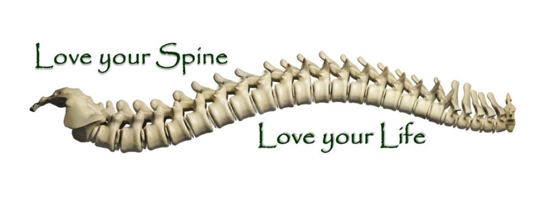 Love-yor-Spine-Love-your-Life-Cover-1-1200x480