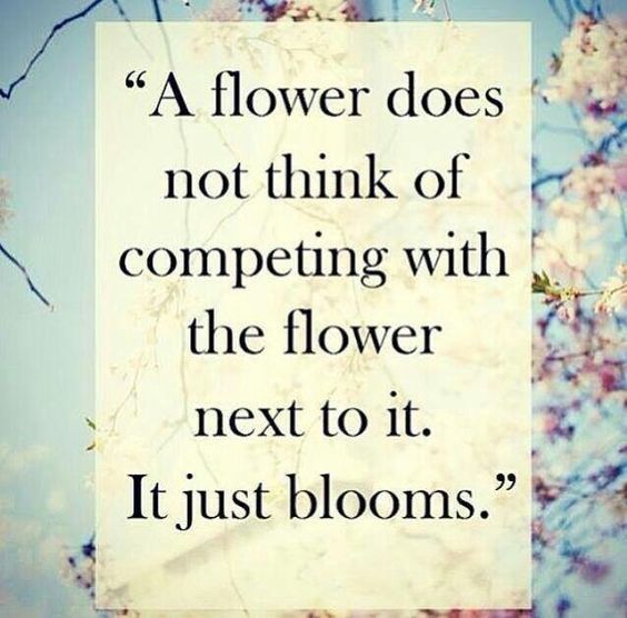 034e1ac35fe914fb27459db9ce05f942