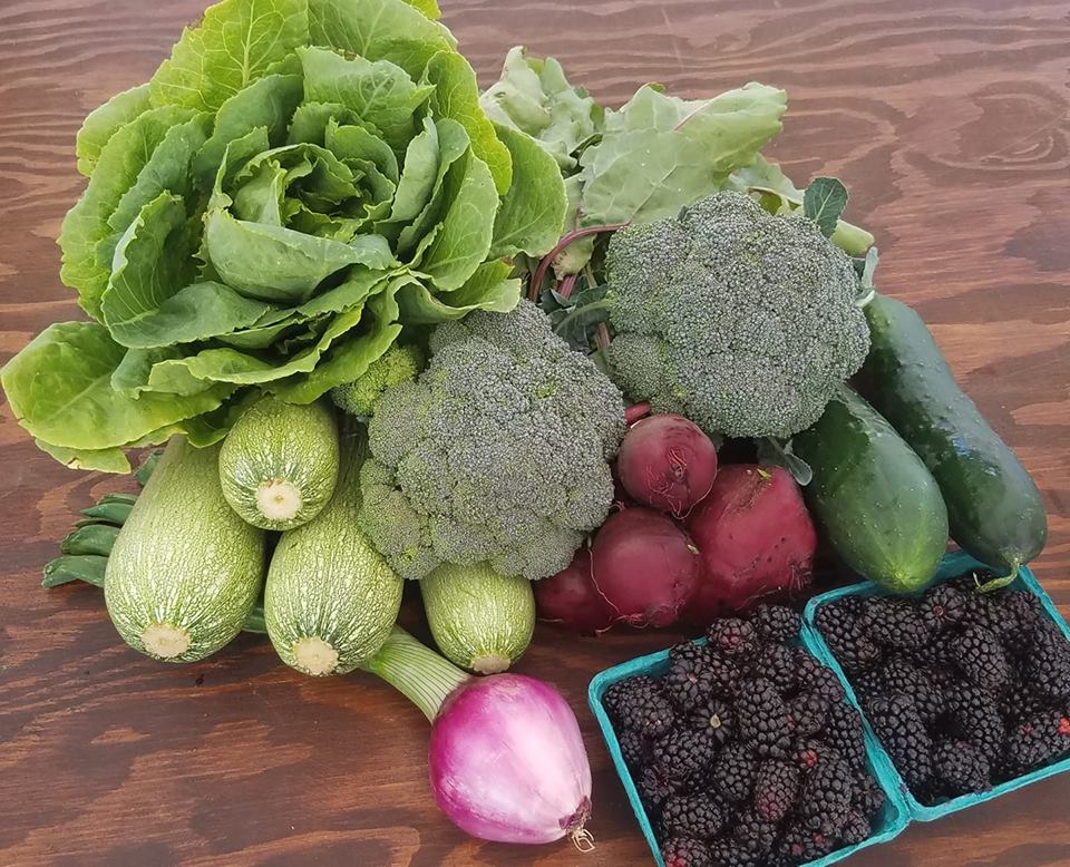 37068087_10158399485714572_3257537157039915008_n